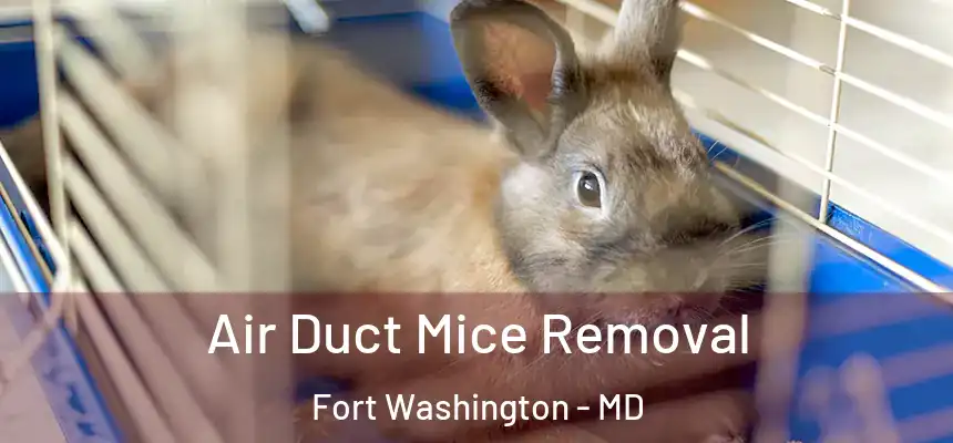 Air Duct Mice Removal Fort Washington - MD