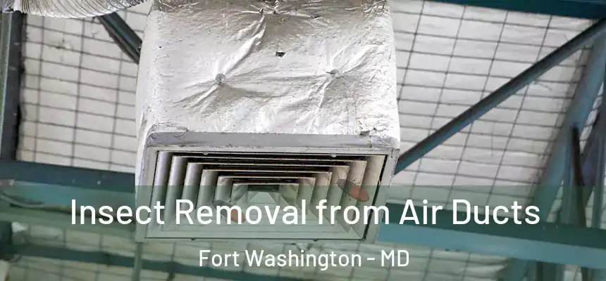 Insect Removal from Air Ducts Fort Washington - MD