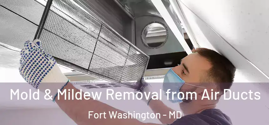 Mold & Mildew Removal from Air Ducts Fort Washington - MD