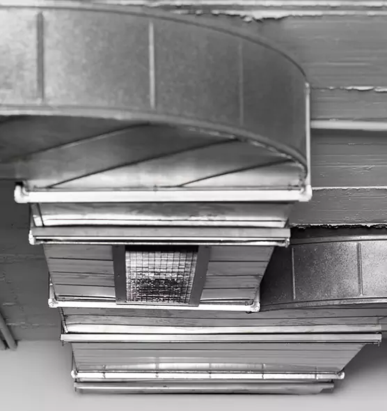 Professional Air Duct Pest Removal in Fort Washington, MD