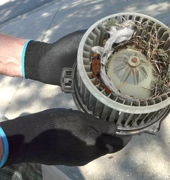 About Air Duct Rat Removal in Fort Washington, MD