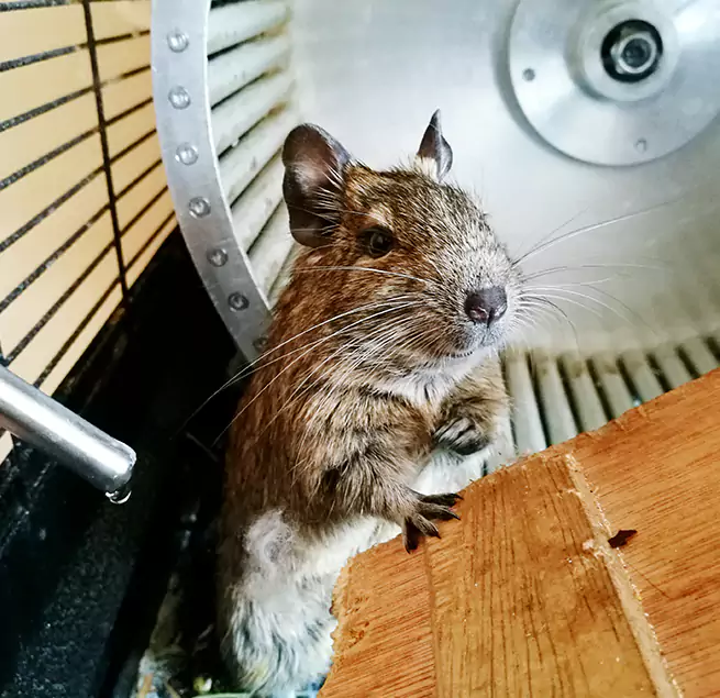 Why Homeowners & Businesses Trust Us Fort Washington, MD