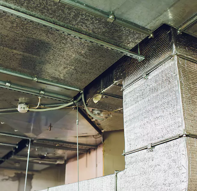 Why Homeowners & Businesses Trust Us in Fort Washington, MD?